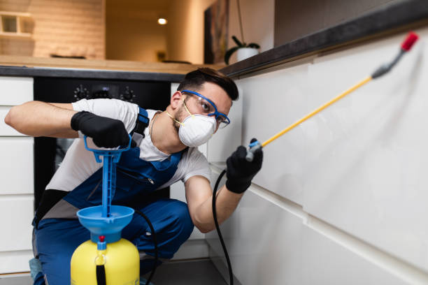 Best Residential Pest Control  in Dequincy, LA