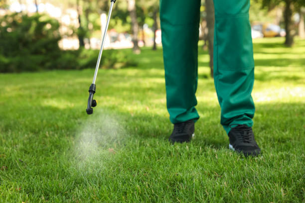 Best Bed Bug Extermination  in Dequincy, LA