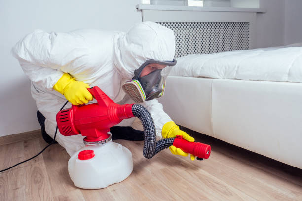 Best Affordable Pest Control Services  in Dequincy, LA