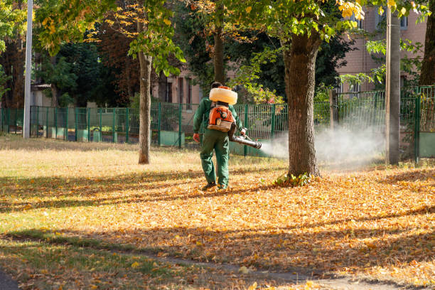 Best Pest Inspection Near Me  in Dequincy, LA